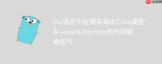 Go语言中处理非导出CGo类型与unsafe.Pointer的内存赋值技巧
