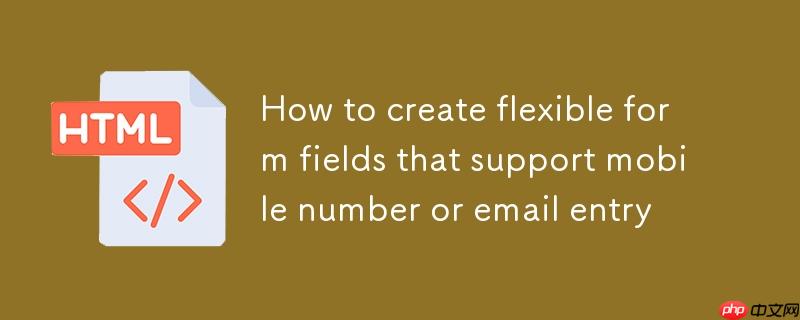 如何创建支持手机号或邮箱输入的灵活表单字段
