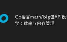Go语言math/big包API设计哲学：效率与内存管理