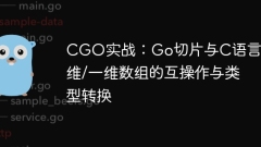 Pratique du CGO: Interopérabilité et conversion de type entre les tranches de go et les tableaux multidimensionnels / unidimensionnels de langue C
