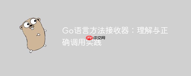 Go语言方法接收器:理解与正确调用实践