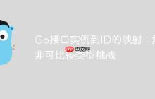 Go接口实例到ID的映射：解决非可比较类型挑战