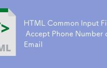 HTML通用输入字段：接受电话号码或电子邮件