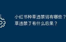 小红书种草违禁词有哪些？种草违禁了有什么后果？