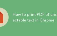 如何在Chrome中打印不可选文本的PDF