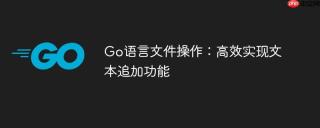 Go语言文件操作：高效实现文本追加功能