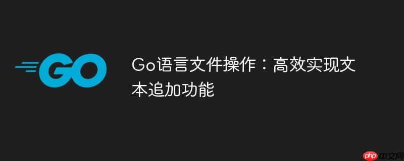 Go语言文件操作:高效实现文本追加功能