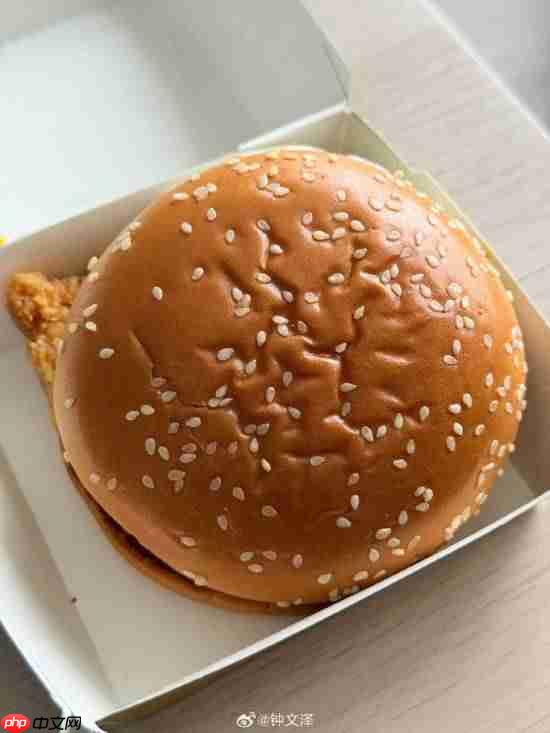 钟文泽体验《黑神话》联名麦当劳:不推荐!