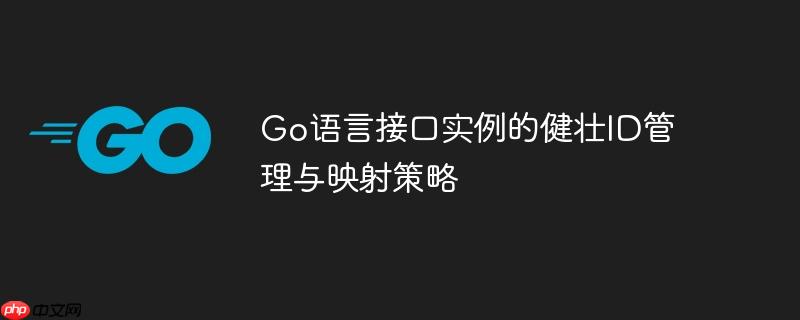 Go语言接口实例的健壮ID管理与映射策略