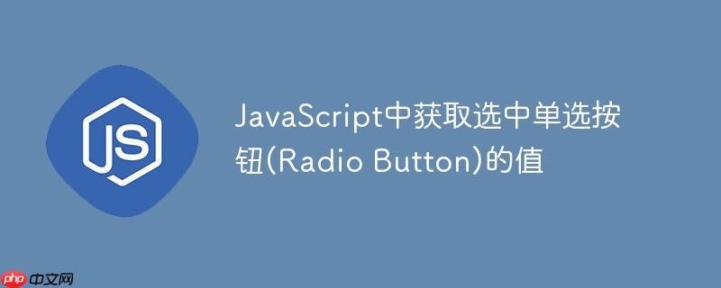 JavaScript中获取选中单选按钮(Radio Button)的值