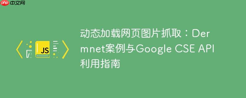 动态加载网页图片抓取：Dermnet案例与Google CSE API利用指南