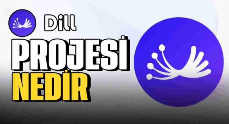 Dill(DL)币是什么?如何运作?Dill项目概述,代币经济与未来发展介绍