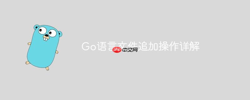 Go语言文件追加操作详解