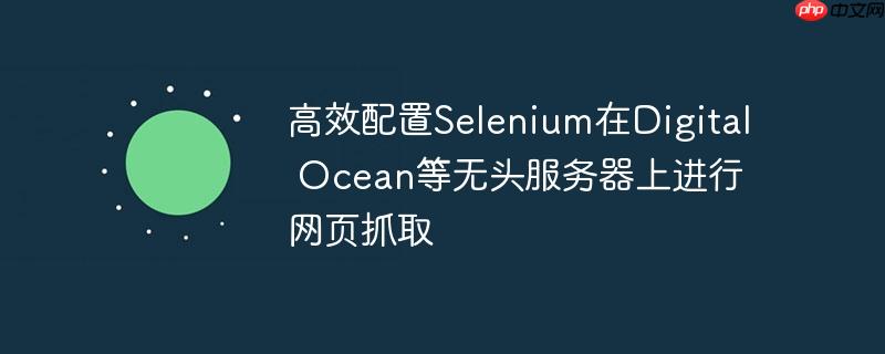 高效配置Selenium在Digital Ocean等无头服务器上进行网页抓取