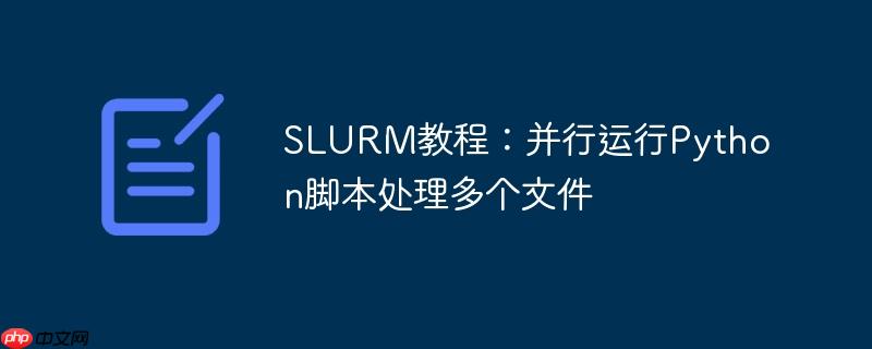 slurm教程：并行运行python脚本处理多个文件
