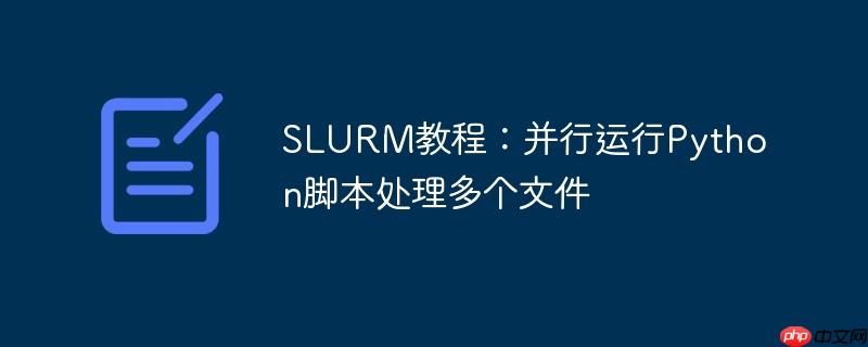 SLURM教程：并行运行Python脚本处理多个文件