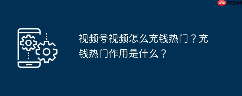 视频号视频怎么充钱热门?充钱热门作用是什么?