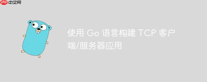 使用 Go 语言构建 TCP 客户端/服务器应用