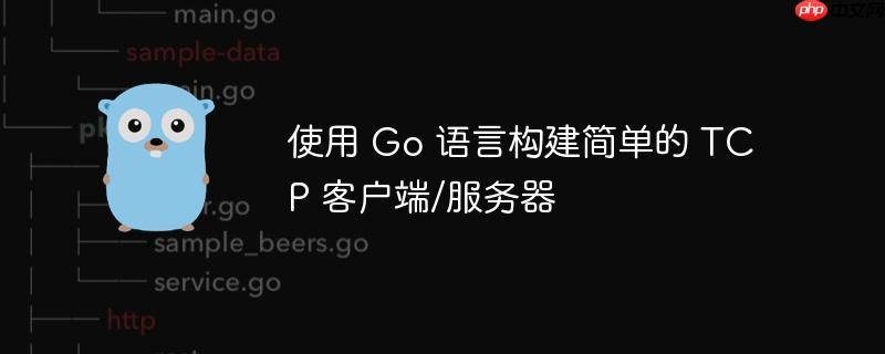 使用 Go 语言构建简单的 TCP 客户端/服务器