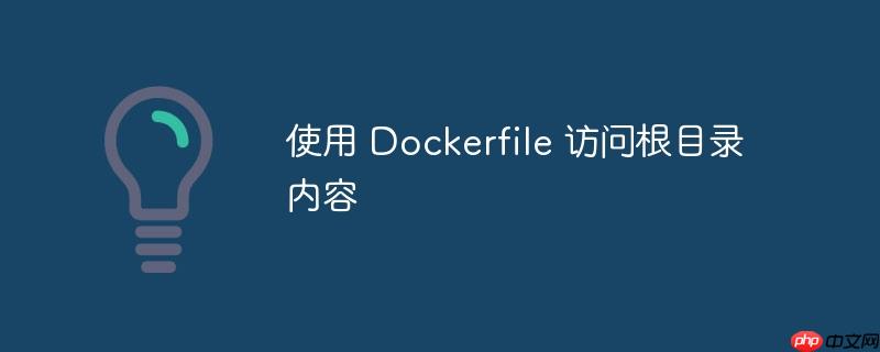 使用 Dockerfile 访问根目录内容