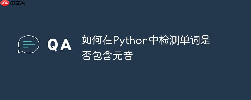 如何在Python中检测单词是否包含元音