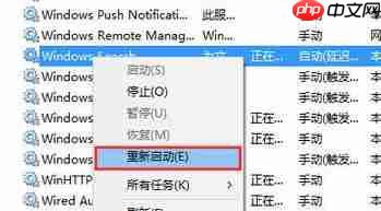 Win10的搜索框搜不到东西怎么办？