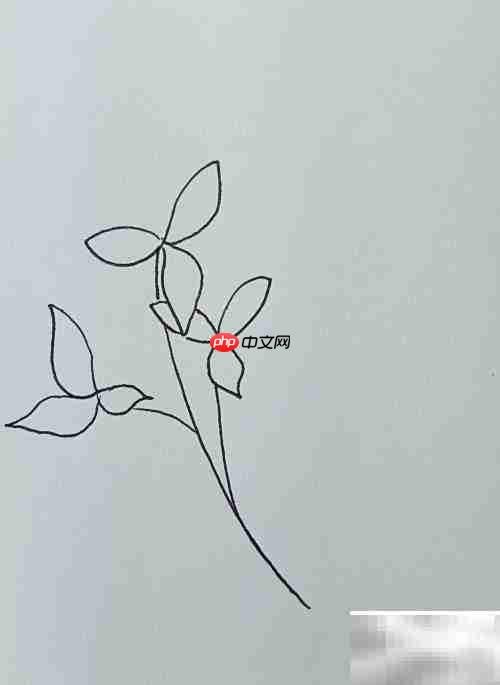 简笔画三叶草教程