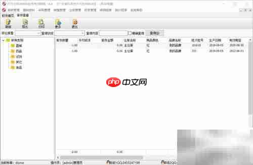 进销存批次与有效期录入