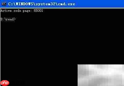 CMD支持UTF-8文件编码