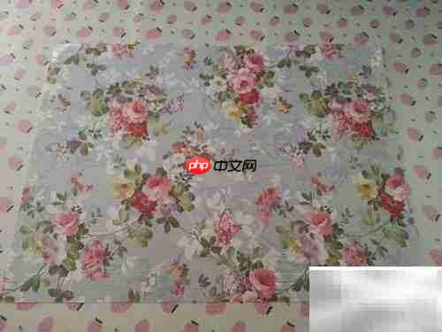 一分钟速成CD包装