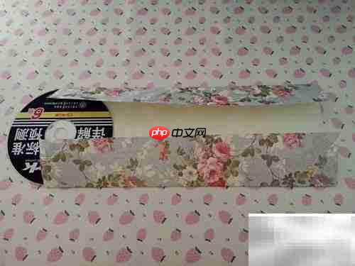 一分钟速成CD包装