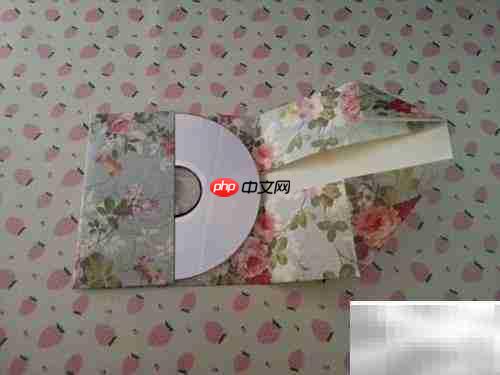 一分钟速成CD包装