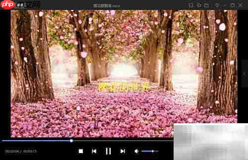 idoo视频编辑器加字幕教程