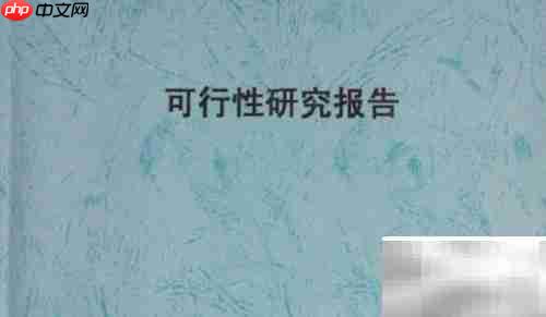 立项报告写作范本指南