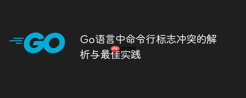 Go语言中命令行标志冲突的解析与最佳实践
