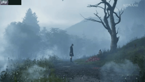 花高价买显卡结果玩不了？《寂静岭f》在5090上崩溃