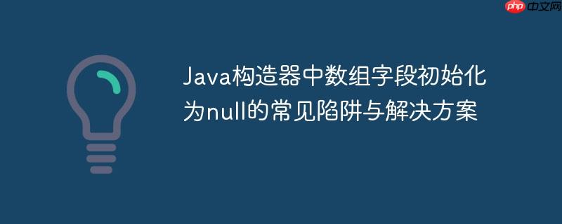 Java构造器中数组字段初始化为null的常见陷阱与解决方案