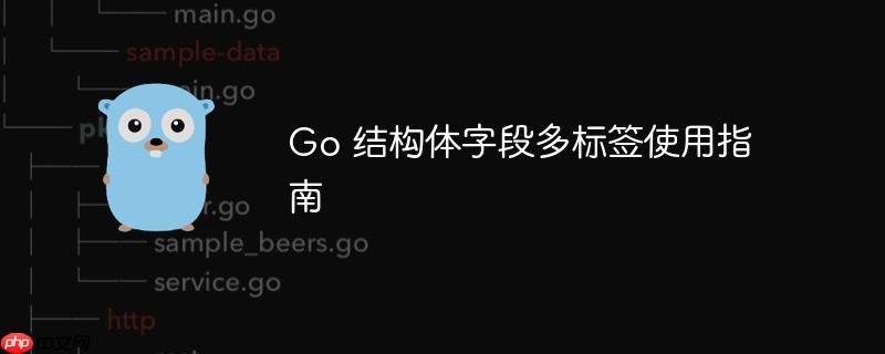 Go 结构体字段多标签使用指南
