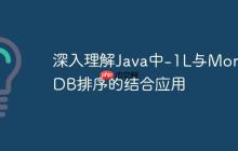 深入理解Java中-1L与MongoDB排序的结合应用