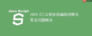 JWK EC公钥坐标编码详解与常见问题解决