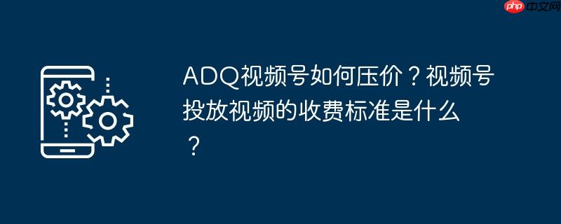 ADQ视频号如何压价?视频号投放视频的收费标准是什么?