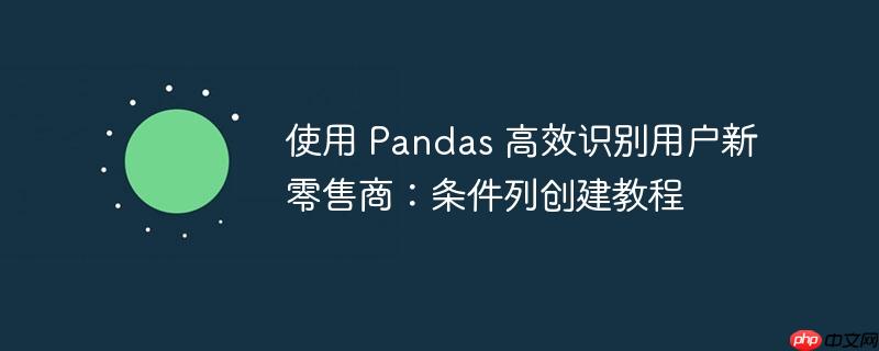 使用 Pandas 高效识别用户新零售商：条件列创建教程