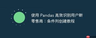 使用 Pandas 高效识别用户新零售商：条件列创建教程