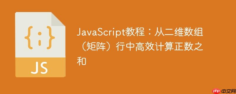 JavaScript教程:从二维数组(矩阵)行中高效计算正数之和