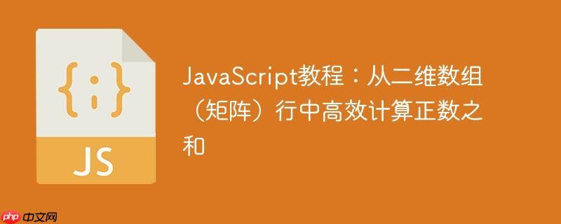 JavaScript教程:从二维数组(矩阵)行中高效计算正数之和