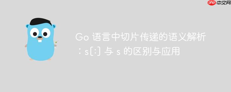 Go 语言中切片传递的语义解析：s[:] 与 s 的区别与应用