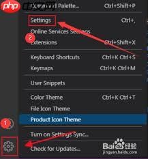 vscode如何关闭php模板语言标记