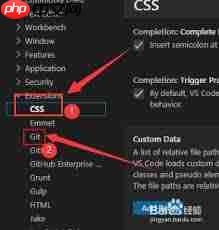 vscode如何关闭php模板语言标记