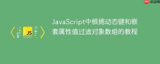 JavaScript中根据动态键和嵌套属性值过滤对象数组的教程