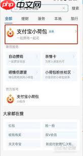 支付宝小荷包转账教程